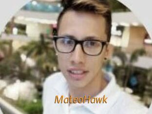 MateoHawk