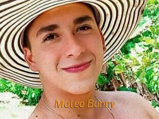 Mateo_Bunny