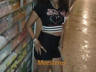 Meesteres