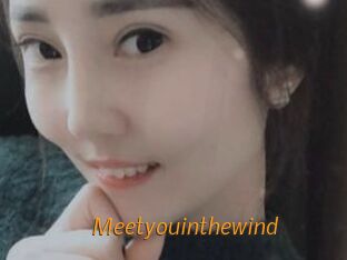 Meetyouinthewind