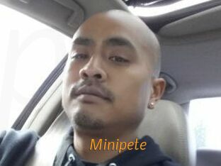 Minipete