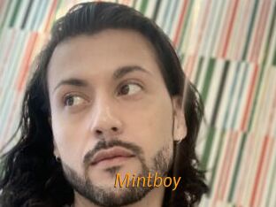 Mintboy