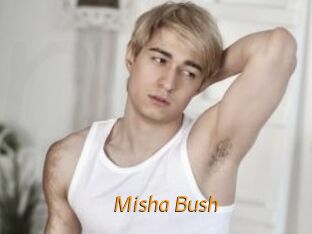 Misha_Bush
