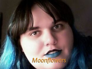Moonflowers