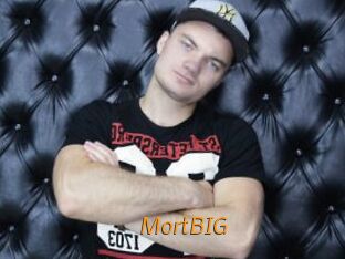 MortBIG