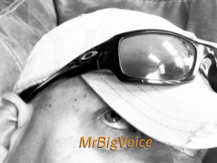 MrBigVoice