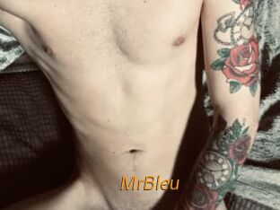 MrBleu