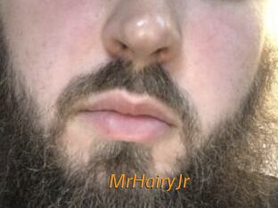 MrHairyJr