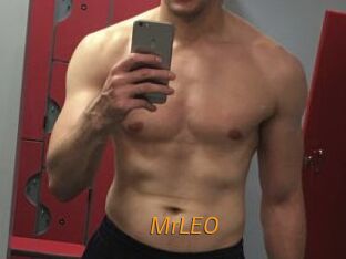 MrLEO