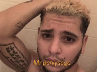 Mr_pervysage Porn University