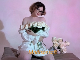 Madisonsoft