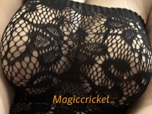 Magiccricket