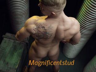 Magnificentstud