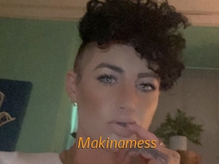 Makinamess