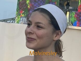 Malvinesley