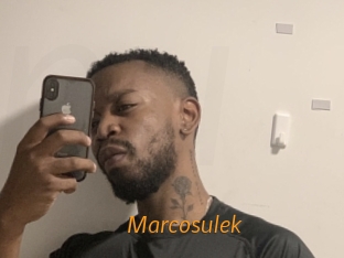 Marcosulek