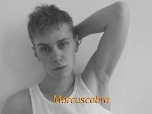 marcuscobra Porn University