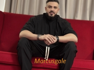 marcusgale Porn University
