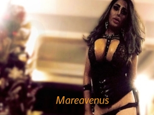 Mareavenus