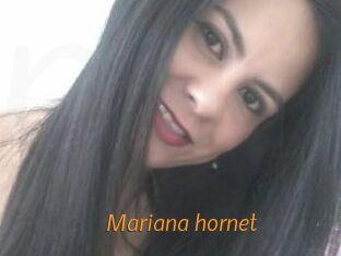 Mariana_hornet
