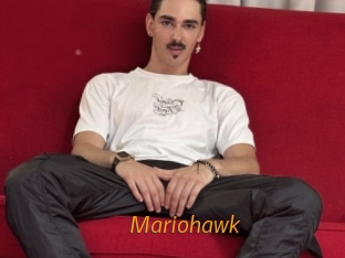 mariohawk Porn University