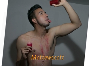 mattewscott Porn University