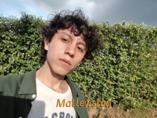 mattewstan Porn University
