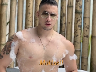 Mattseil