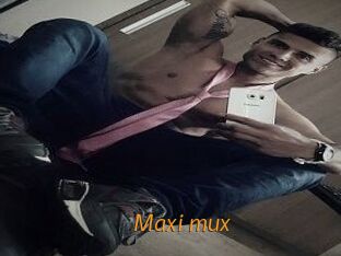 Maxi_mux
