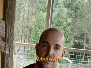 Meesterv