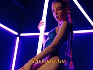 Meganeaton
