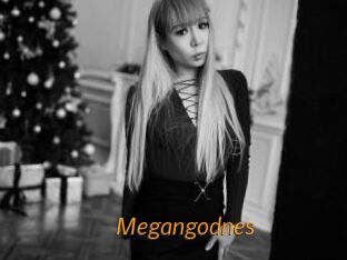 Megangodnes