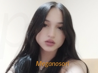 Meganosori