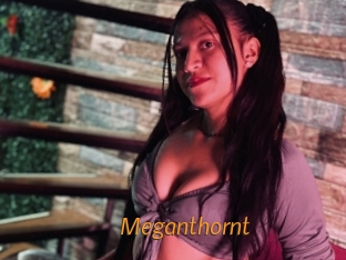 Meganthornt