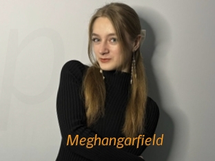 Meghangarfield