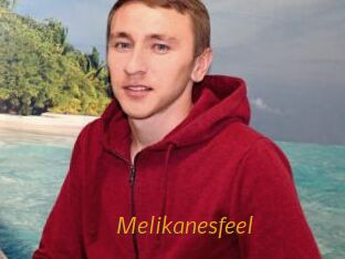 Melikanesfeel