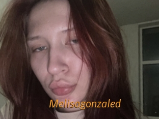 Melisagonzaled