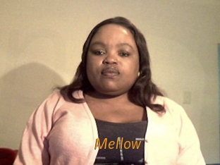 mellow Porn University