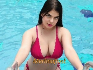Merlinafrost