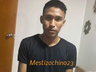 Mestizochino23