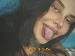Miamoose