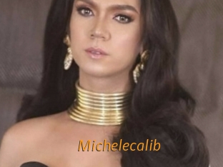 Michelecalib