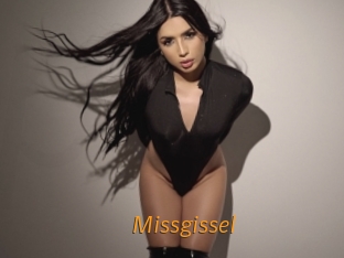 Missgissel