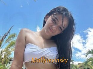 Mollylevinsky