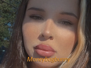Moneybagbunny