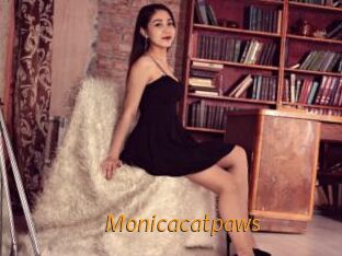 Monicacatpaws