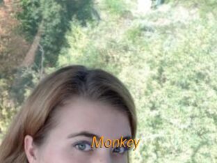Monkey