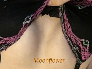 Moonflower