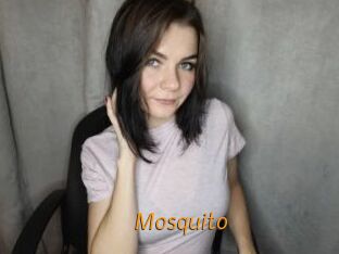 Mosquito