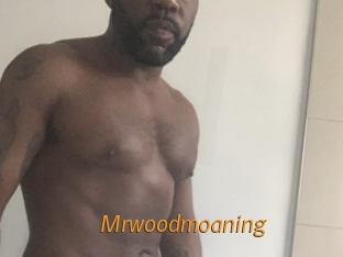 Mrwoodmoaning